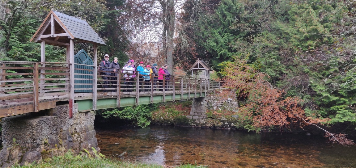 Group on wooden bridge
