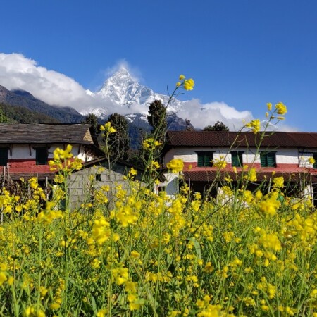 Gurung village under Fishtail Mountain in Nepal