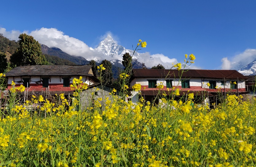 Gurung village under Fishtail Mountain in Nepal