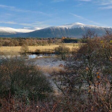 The Feshie Hills in snow, Cairngorms